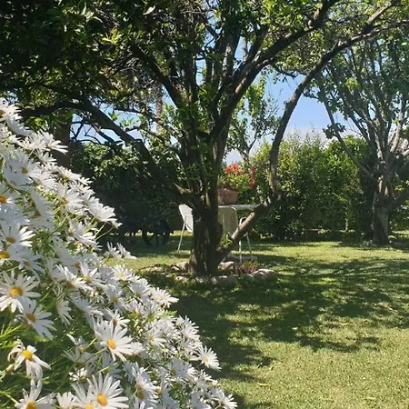Apartamento A Quinta Bolboretas Sanxenxo