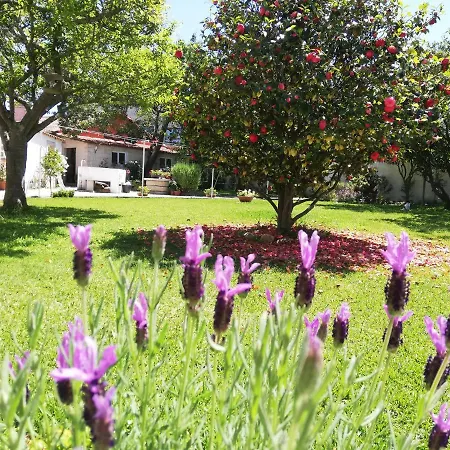 A Quinta Bolboretas * サンシェンショ