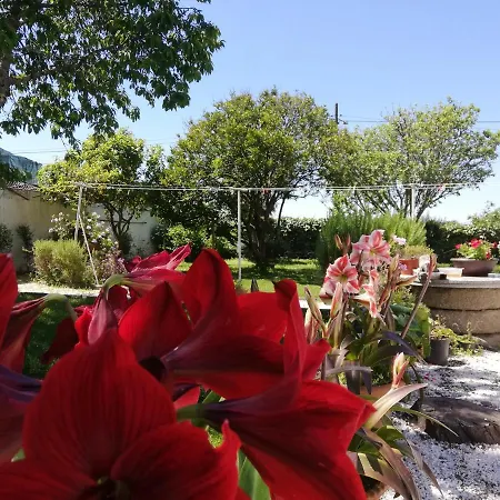 A Quinta Bolboretas アパート サンシェンショ