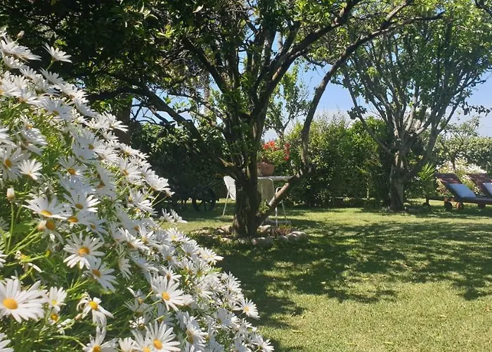 Apartament A Quinta Bolboretas Sanxenxo